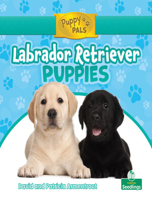 cover image of Labrador Retriever Puppies